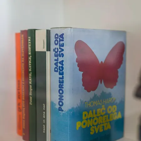 Apartamento Bh Rose *