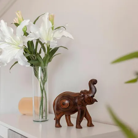 Bh Rose 류블랴나