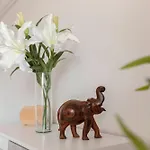 Bh Rose ليوبليانا